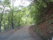 Ԃ񂳂̔ԏ여̓eʐ^2