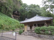 �Ԃ���񂳂�̑鐲�ω��̓��e�ʐ^1