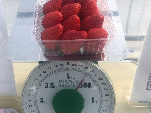 �������A�肳���Ă��������܂����I�I���肪�Ƃ��������܂����I�I_���c�������t�@�[��