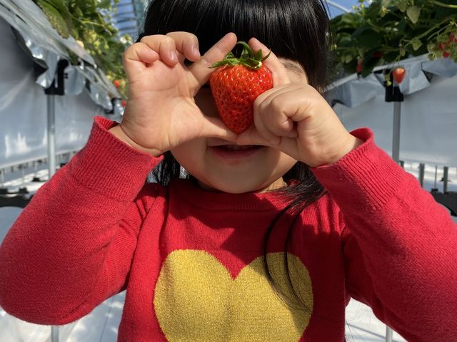 �傫�Ȃ������ɑ勻��_�A�O�������X�^�[�X�y�V����