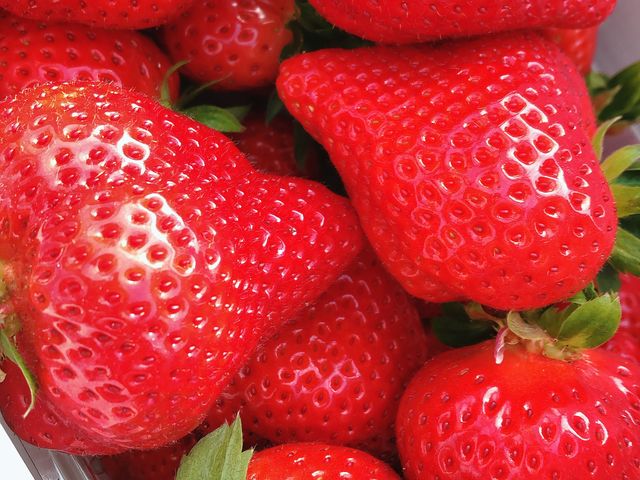 ���񏉂߂Ă̑�J�t�@�[�����񍡂܂ōs�������������̒��ł͍ō��ł����B�I�X�X���ł���I�I_��J�t�@�[��