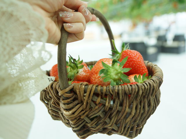 �����J�S�ɂ����Ղ����̂ŁA�����ς��m���r���H�ׂ��܂�����_�ƂƂ�׃t�@�[��