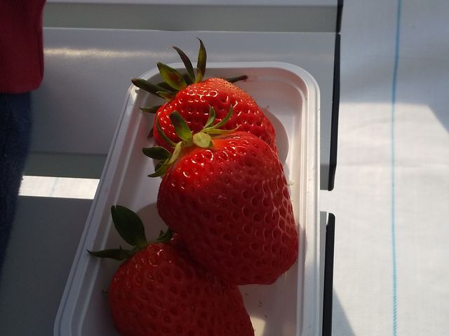 3�Ŗ��t�B_�A�O�������X�^�[�X�y�V����