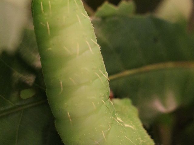 �c���̎ʐ^�B_���ܖ�s�V�\�Z���^�[