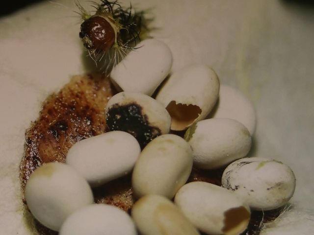 �����z������l�q�̎ʐ^�B_���ܖ�s�V�\�Z���^�[