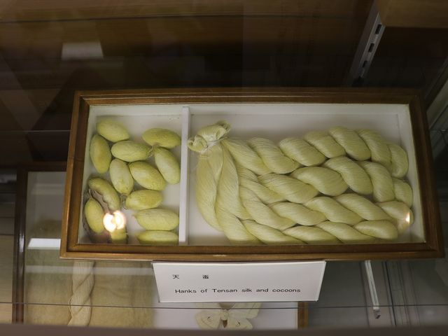 ���Ɛ����B_���ܖ�s�V�\�Z���^�[