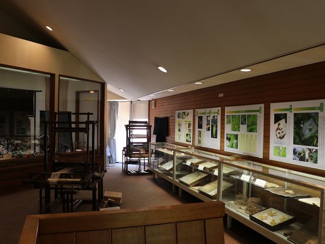 �ٓ��̗l�q�B_���ܖ�s�V�\�Z���^�[