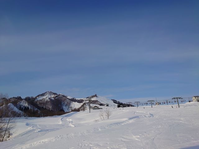 ���ɂ������L���Q�����f_�⌴