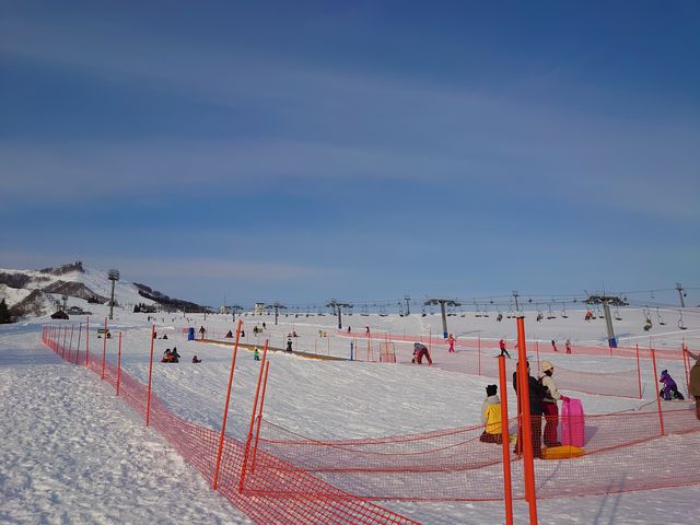 �L�b�Y�R�[�i�[_�⌴