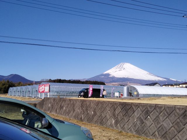 䕃n�E�X����̕x�m�R�͐�i�ł��I䕂̖�����i�ł��I_�A�O�������X�^�[�X�y�V����