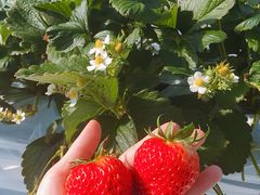 VĩAOX^[XyVւ̓eʐ^1