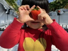 satõAOX^[XyVւ̓eʐ^1