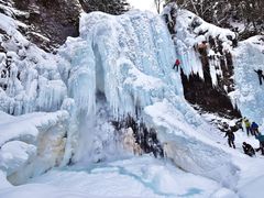 KGOTOH̑PܘY̑ւ̓eʐ^1