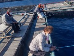 ݂悳̊Cޖx@ނ̓Cւ̓eʐ^1