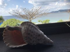 たけさんのseaside-cafe BlueTripへの投稿写真1