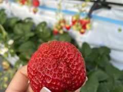 07̐_ˎOcȂ_ւ̓eʐ^1