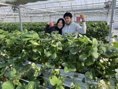 NbL[̐V񂾔_ȉւ̓eʐ^1