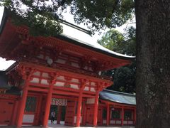 まつぼんさんの武蔵一宮氷川神社への投稿写真1
