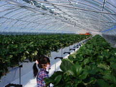 ͂邩̃AOX^[XyVւ̓eʐ^3