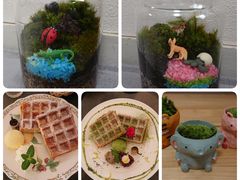 lnmhb`m̃t@~[K[fzt(ztAjւ̓eʐ^1