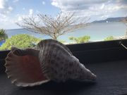 seaside-cafe BlueTrip̓eʐ^4