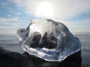 yosshy̑ÊC݁iWG[ACXj̓eʐ^4