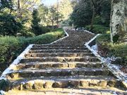 傤̐DcMِՁij 򕌏Ձj̓eʐ^3