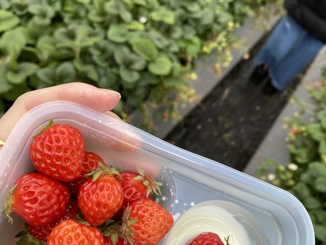 �撣���ĒT����䕁B����ł��傫�����ł��B_�ÎR�_��