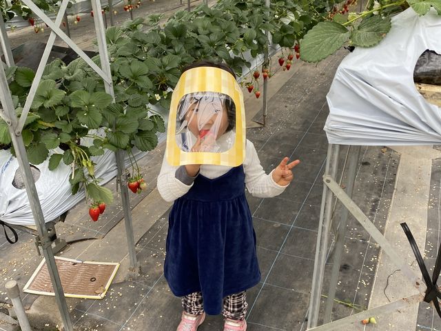 �R�΂̖����������ς��ق��΂��Ă��܂����B_�x�ÃA�N�A�t�@�[��