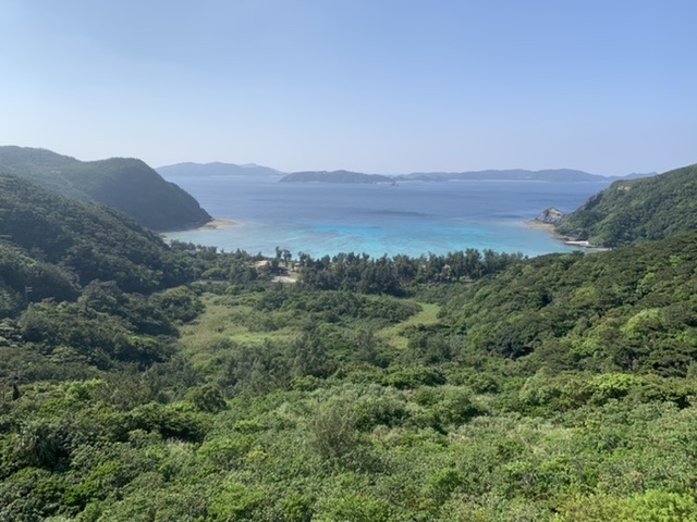 �n�Îu�v�r�[�`_������ЃW�����{�c�A�[�Y