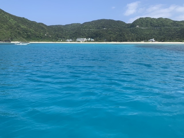 �P���}�u���[_������ЃW�����{�c�A�[�Y