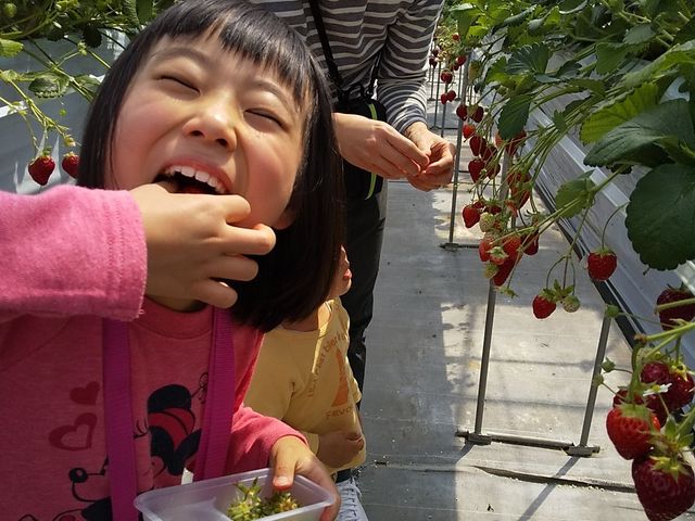 �Â�����������������H�ׂ܂���!_��������x���[�n�E�X