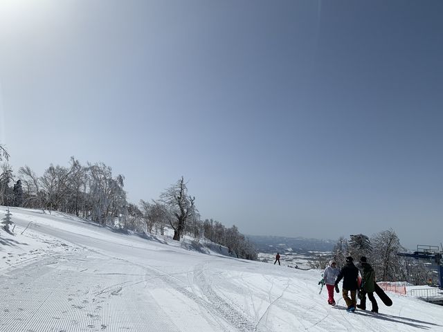 ���V�Ȃ�ǂ����f���炵���X�L�[��_�J���C�X�L�[�����N�X