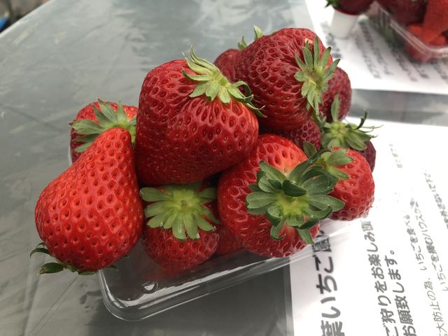 �ǂ���Â��Ĕ�������_���t䕉�