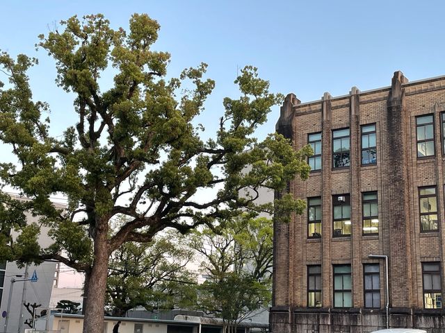 �{�茧��_�{�茧��