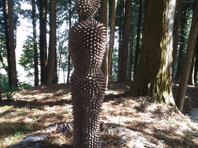 �l�R�̃|�`�N����̐e�s�_�Ђ̑�P���L�̓��e�ʐ^1