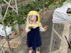 ������������̕x�ÃA�N�A�t�@�[���ւ̓��e�ʐ^1