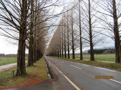 Ă񂳂̃^ZRCA؂ւ̓eʐ^1