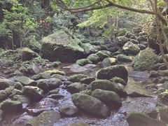 TAKA̐\Jk[cA[̂тՂՂûՂvւ̓eʐ^1