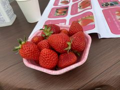 [̂킹͂邢_HappyComeComeւ̓eʐ^1