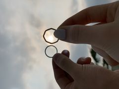 sunfloweritosina-CgVi-ւ̓eʐ^1