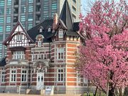 񂳂̖kBsAFDLOق̓eʐ^1