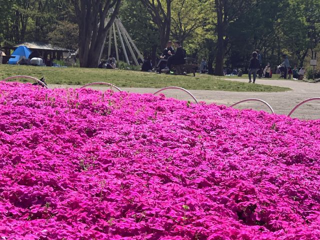 �ō������̒ʂ�B���Ԃ������ς��őu�₩�C��ł��ƁA�s�N�j�b�N����Ă������������B�C��������_�������