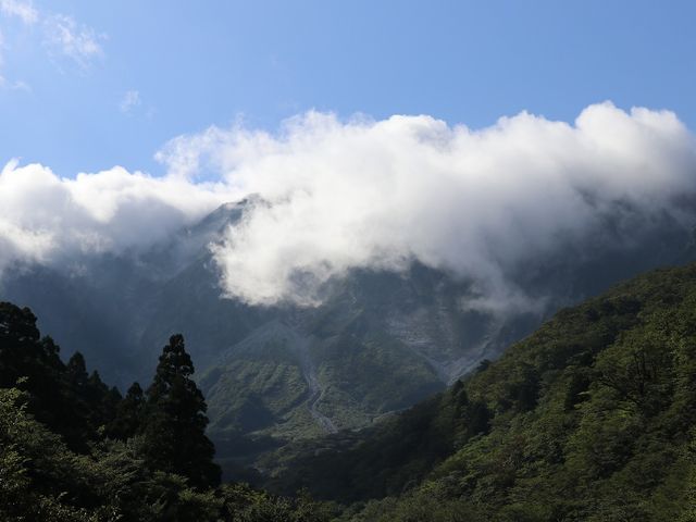 �k�ǂ̈ꕔ���������܂���ł����B_�΂̉͌�