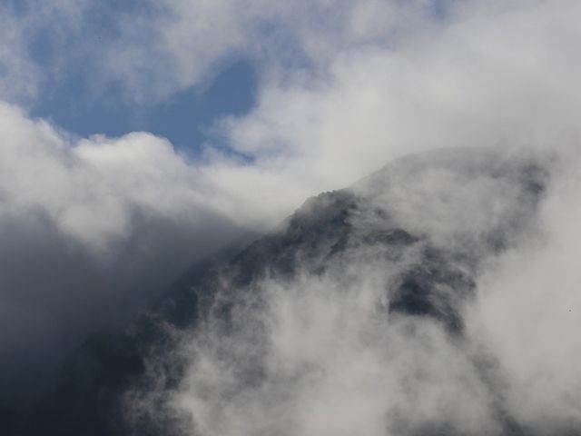 �_�O����R�B_�΂̉͌�