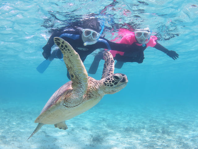 ���̂悤�Ȏʐ^�������������Ă��������܂��B_�A�}�~�G���V�X