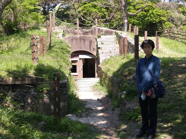 ��������ɑ���ꂽ�C��̈�\���ǍD�ȏ�ԂŎc����Ă���_�΂̎R�����^��