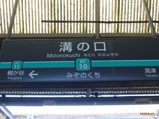 �w���[_���}�d�S�@�a�̌��w