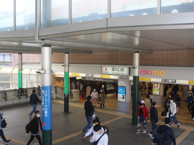 �w�̓���_���}�d�S�@�a�̌��w