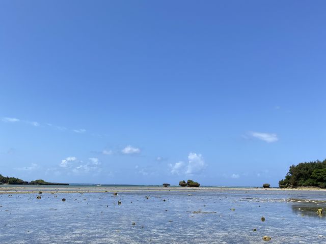 ���������Ăǂ��܂ł������Ă��������ȕ��i�ł�_feelokinawa